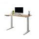 Multifunction USB Electric Lifting Desk Executive Computer Table OEM ODM