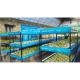 Aquaponics Greenhouse Hydroponics Growing System Fish Tank For Fish And Vegetable