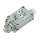 2 Pole Explosion Proof Safety Switch ，Gray Explosion Proof Limit Switch