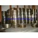 Duplex Stainless Steel Spiral Wound Gasket 31803 / SAF2205 Corrugated